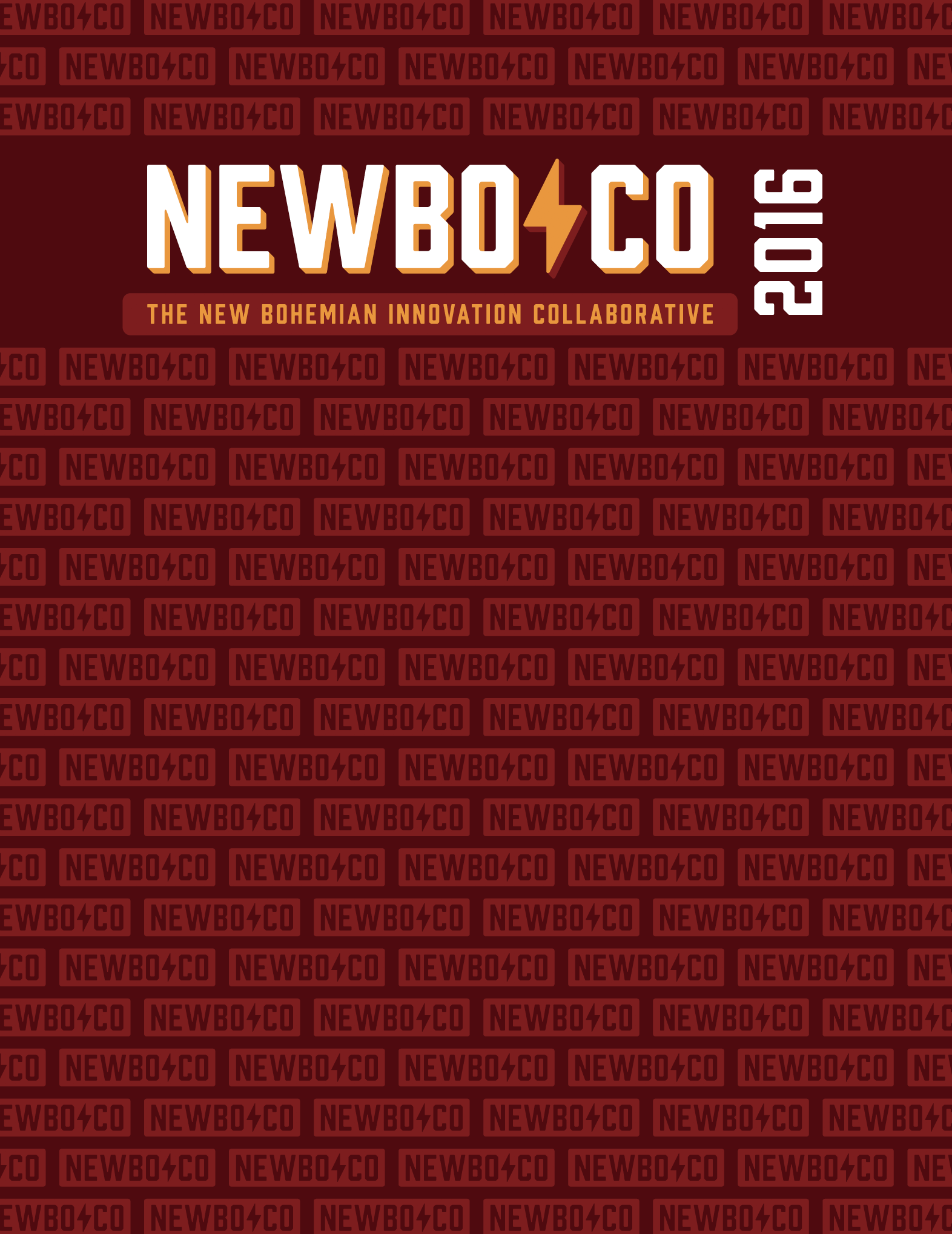 2016 NewBoCo Annual Report